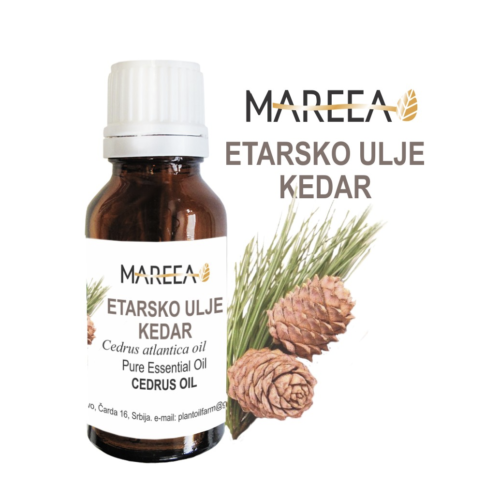 CEDAR ESSENTIAL OIL 10ml
