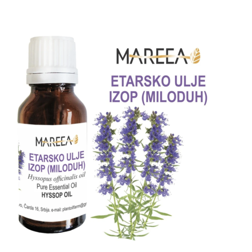 HYSOP ESSENTIAL OIL, FRAGRANCE 10ML