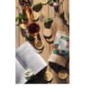 Vivaseed organic mint leaf tea-20 g